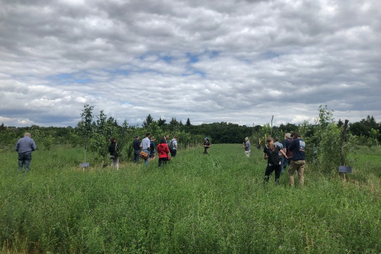 Agroforestry-project van start in Haarlemmermeer