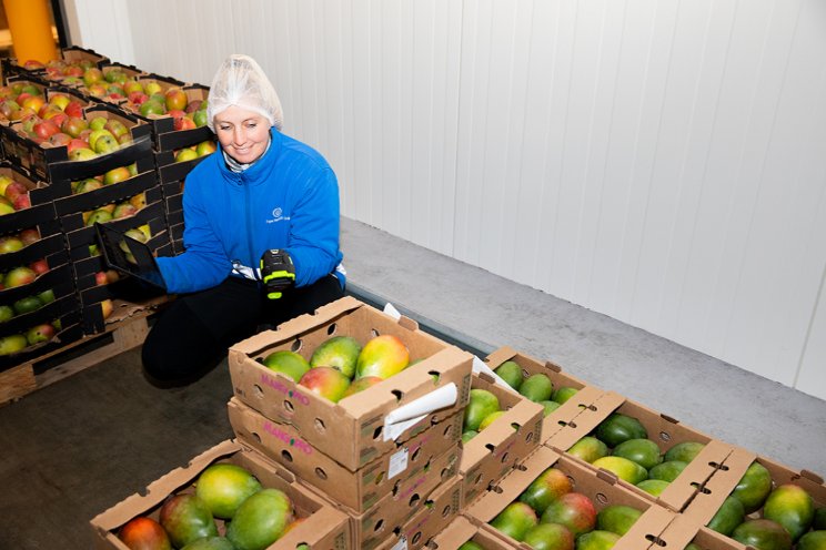 Ripening App brengt innovatie in rijpproces