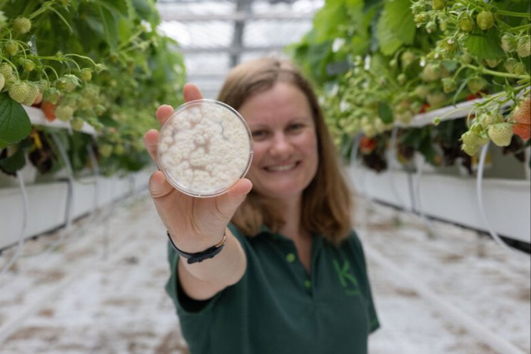 'Bescherm met Mycotal als de temperaturen dalen' 'Bescherm met Mycotal als de temperaturen dalen'