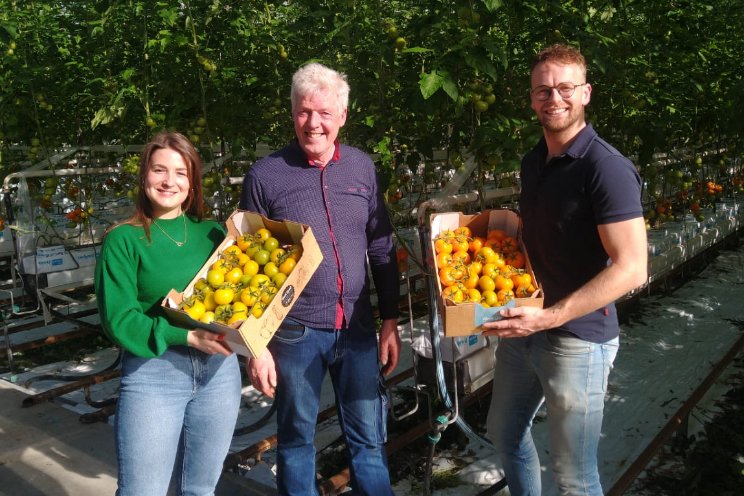 Gekleurde trostomaten voor het goede doel