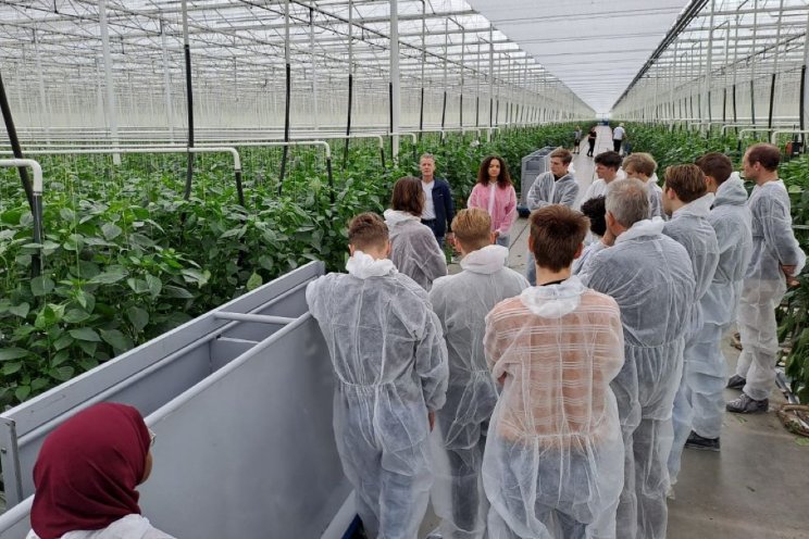 Studenten testen nieuwe sensortechnologie paprika