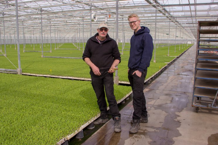 Groene parels uit Bleiswijk