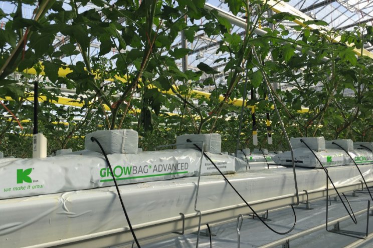 Uitbreiding productie Growbag Advanced  