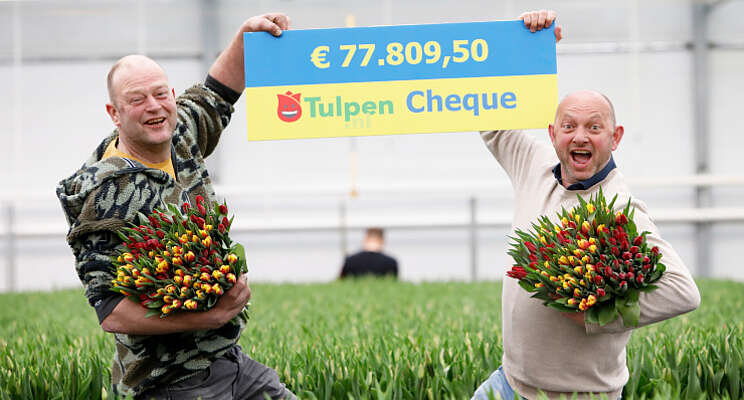 Actie met tulpen uit Oekrane groot succes