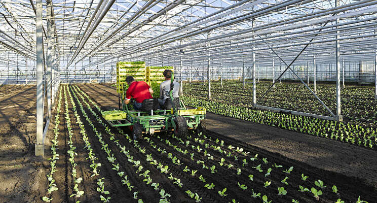 Nautilus Organic gaat in afgeslankte vorm verder