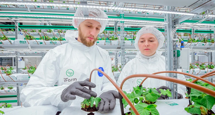 Vertical Farming Wednesday...  Technologie van iFarm Berry