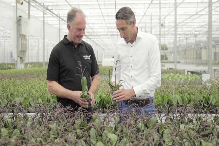 Video: Vaste meststoffen OK Plant