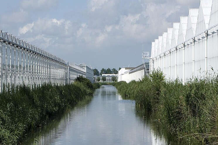 WaterEvent legt nadruk op substraatteelt