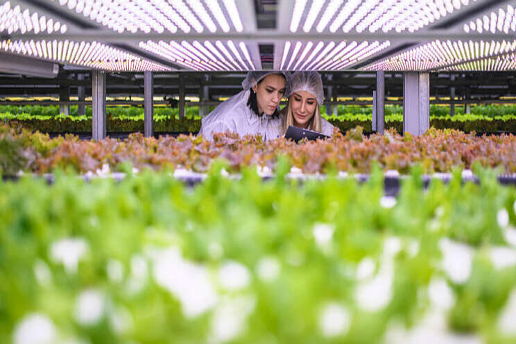 Vertical Farm faciliteiten geopend met conferentie