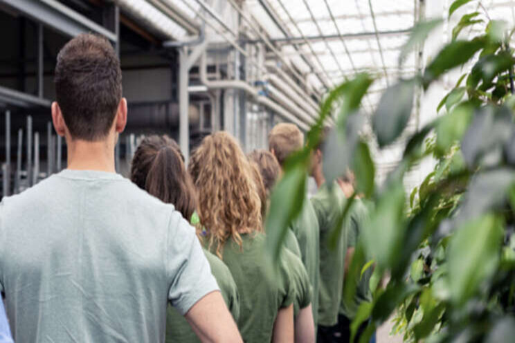 Gezocht: telers om studenten te beoordelen