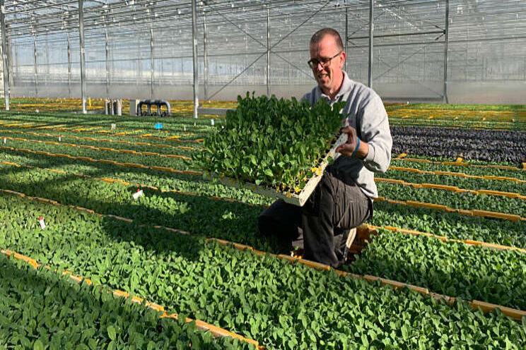 Koolseizoen van start bij Beekenkamp Plants