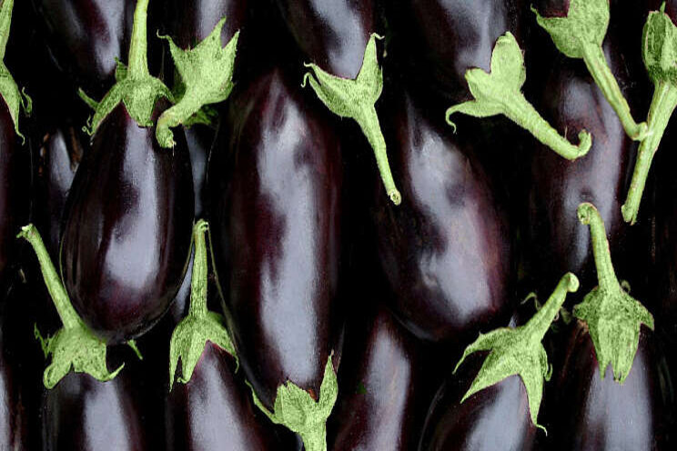 Eerste aubergines verkocht voor het goede doel