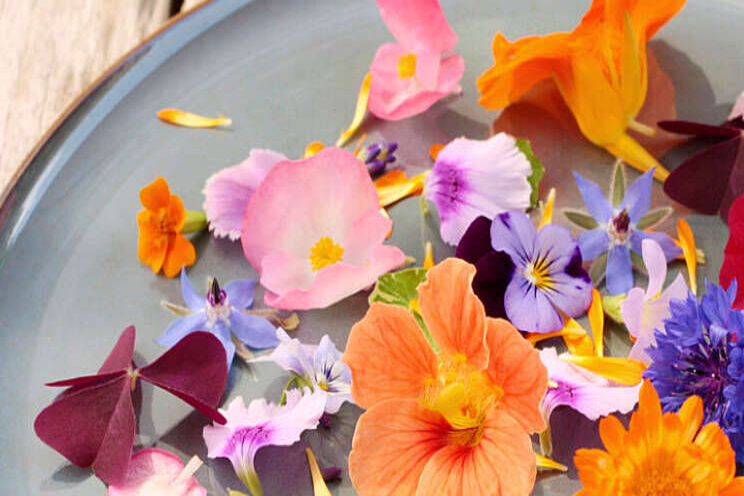 Eetbare bloemen verkocht bij Veiling Rhein-Maas