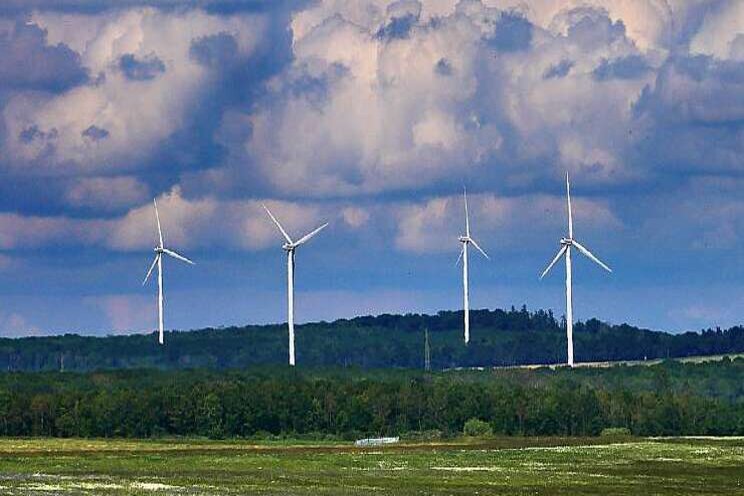 Rol bio-energie in halen klimaatdoelen is beperkt