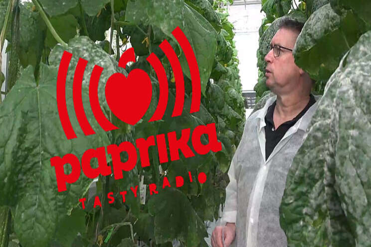 Tot 12.00 uur: HortiPro live