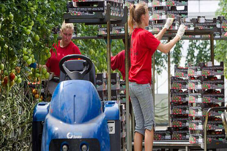 Tuinbouw schat eerste schade op 5 miljard euro